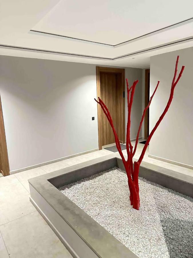 Cosy Appartement Au Centre De Καζαμπλάνκα Εξωτερικό φωτογραφία